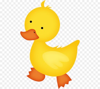 Baby Ducks Baby Duckling Clip art - cartoon duck 