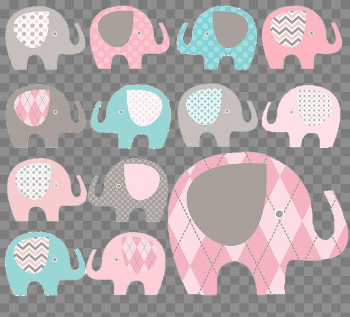 Baby Elephant Transparent Image