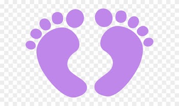 Baby Feet Vector