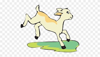 Baby Goat - Baby Goat Png Cartoon