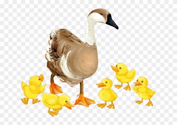 Baby Goose Clipart - Amazing Baby Birds To Color Coloring Book