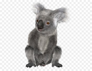 Baby Koala Bear The Koala Greeting & Note Cards - koala 