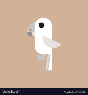 Baby parrot vector image