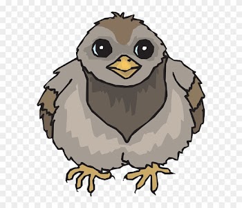 Baby Pigeon Clipart