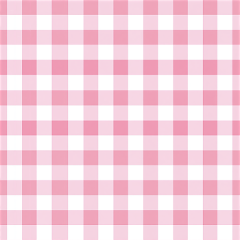 Baby Pink Gingham Pattern