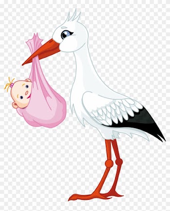 Baby Png - Stork Baby