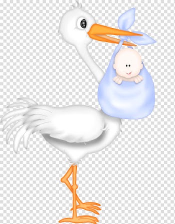 Baby shower Wedding invitation Gift Infant , ballerina baby shower transparent background PNG clipart