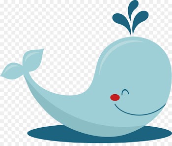 Baby Whale Drawing Clip art - Beluga Whale Cliparts 