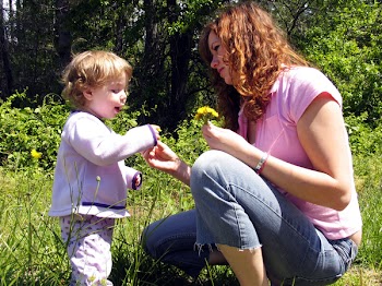 babydandelions.jpg