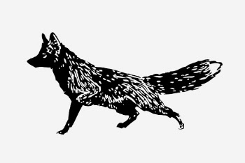 Back fox illustration. Free public | Free Photo Illustration - rawpixel
