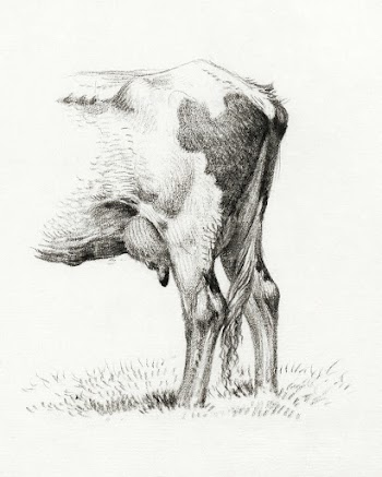 Back legs of a cow (1818) drawing in high… | Free public domain illustration