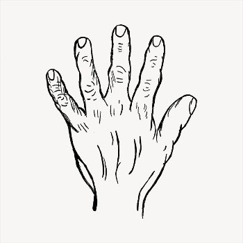 Back of hand  clipart, | Free Vector - rawpixel