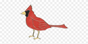 Back To Nature - Northern Cardinal
