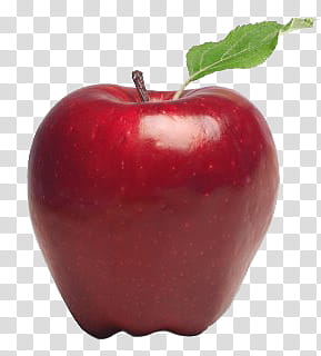 Back to school  s, red apple fruit transparent background PNG clipart