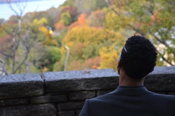 Back View of a Man Overlooking Autumn Treetops