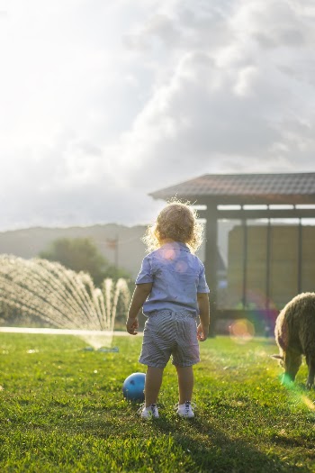 Back view Photo of Boy in Blue Playing Ball