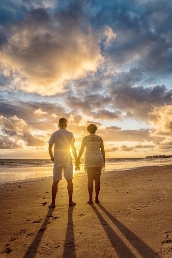 Back View Photo of Couple Standing on the Beach Looking at the Horizon