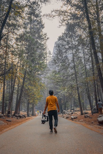 Back View Photo of Man Carrying Dslr Camera with Stabilizer Walking Down Path In Between Trees