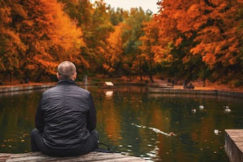 Back View Photo of Man Sitting Wooden Surface Near Body of Water