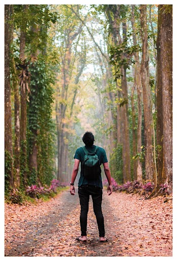 Back View Photo of Man Standing Alone in Dirt Road In Between Trees Looking Up