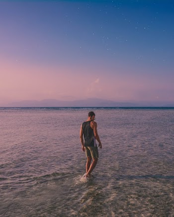 Back View Photo of Man Walking Along Seashore During Golden Hour