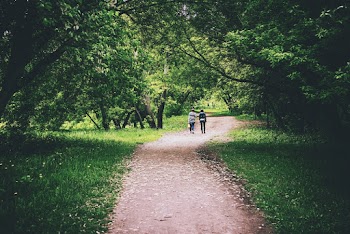 Back View Photo of Two Women Walking Down Dirty Road in Middle of Trees