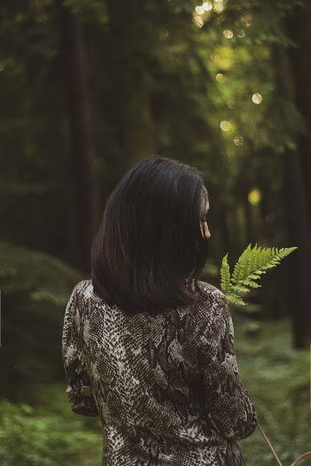 Back View Photo of Woman Standing in Woods Holding Fern Leaf