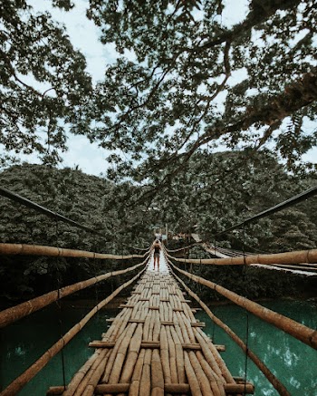 Back View Photo of Woman Standing on Wooden Bridge