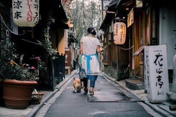 Back View Photo of Woman Walking Her Dog on Narrow Alley