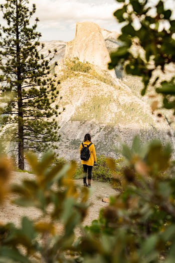 Back view Photo of Woman Wearing Yellow Jacket and Carry Backpack