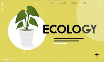 Background clean design | Free stock vector - 396127