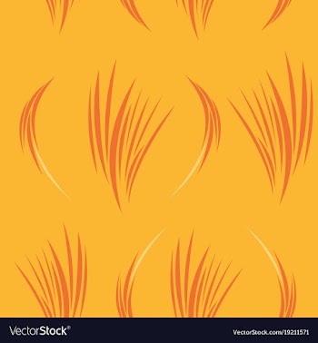 Background ethnic pattern boho seamless texture vector image