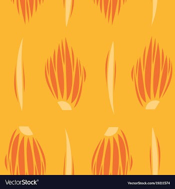 Background ethnic pattern boho seamless texture vector image