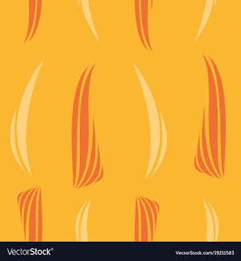 Background ethnic pattern boho seamless texture vector image