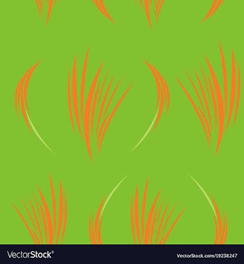 Background ethnic pattern boho seamless texture vector image