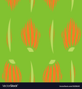 Background ethnic pattern boho seamless texture vector image