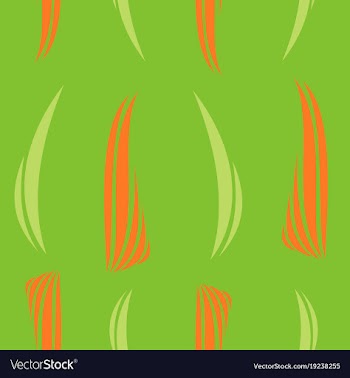 Background ethnic pattern boho seamless texture vector image