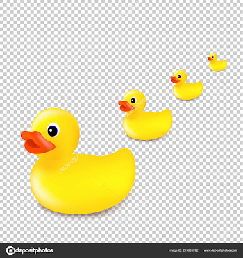 Background: rubber duck no | Rubber Ducks Isolated Transparent ...