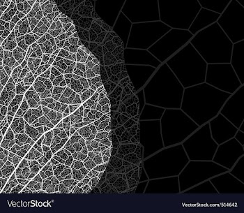 Background vector image