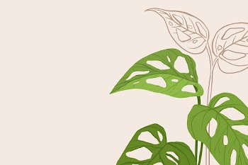 Background vector monstera swiss cheese plant… | Free stock illustration | High Resolution graphic