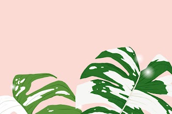 Background vector monstera variegated plant… | Free stock illustration | High Resolution graphic