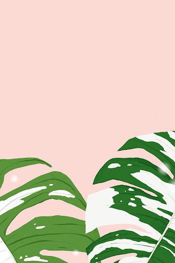 Background vector monstera variegated plant… | Free stock illustration | High Resolution graphic
