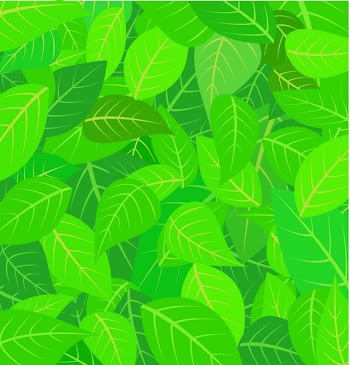 background with green leaves
