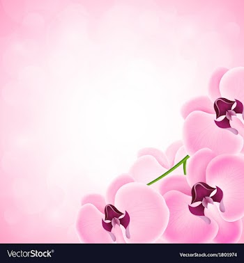  					Background with orchid vector&nbsp;image														
