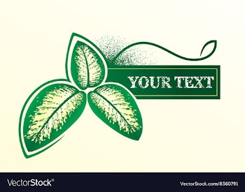 Background with plants vector image