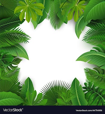 background with text space of tropical leaves
