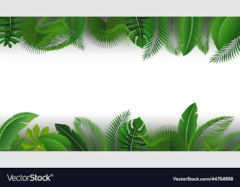 background with text space of tropical leaves