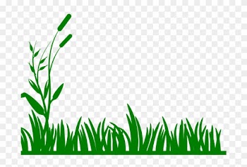 Backyard Bible School - Clip Art Grass Border