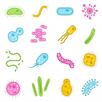 Bacteria icons set Free Vector