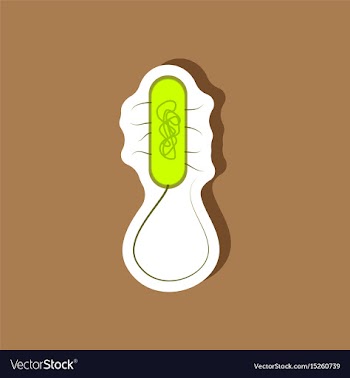 Bacteria paper sticker on stylish background vector image
